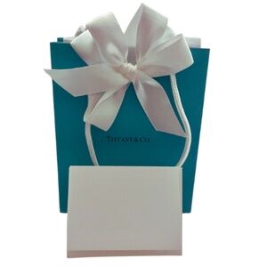 Tiffany & Co Gift Bag With Bow, Card, And Tissue Paper Brand New